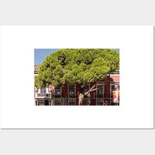 Buildings Of Lisbon - 7 - Obscured By A Giant Tree © Posters and Art